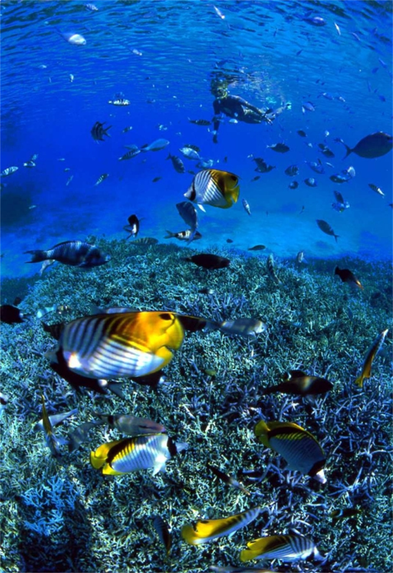 일본 오키나와 도카시키 섬 아하렌 해변 일일 투어 이미지 2