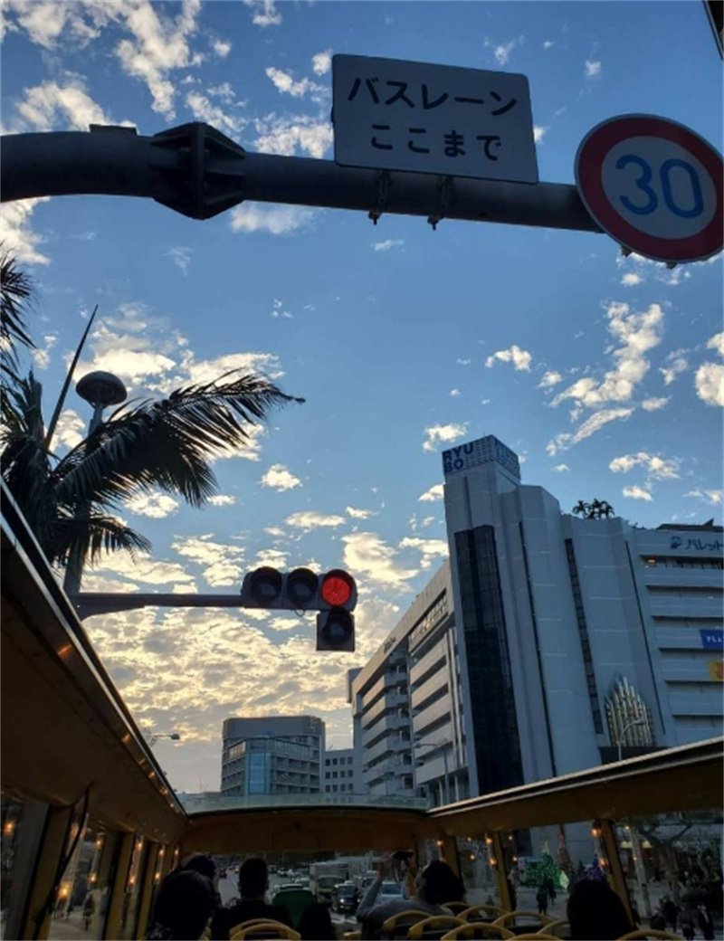 일본 오키나와 이층 오픈탑 관광 버스 투어  세나가 섬 슈리성 아메리칸 빌리지  나하 출발 - 상세 이미지 5