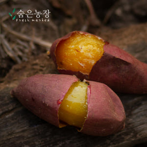 호밤고구마 해남고구마 호풍미고구마 속노란 해남황토호박고구마 꿀밤고구마 튀... 맛있게 먹은 솔직 후기 - 상품 이미지 3