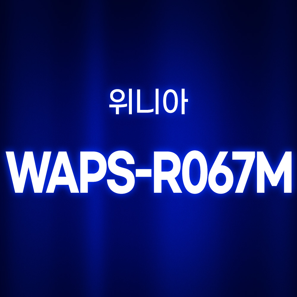 [호환] 환경필터 국내산 위니아 공기청정기 필터 WAPS-R067M 프리미엄