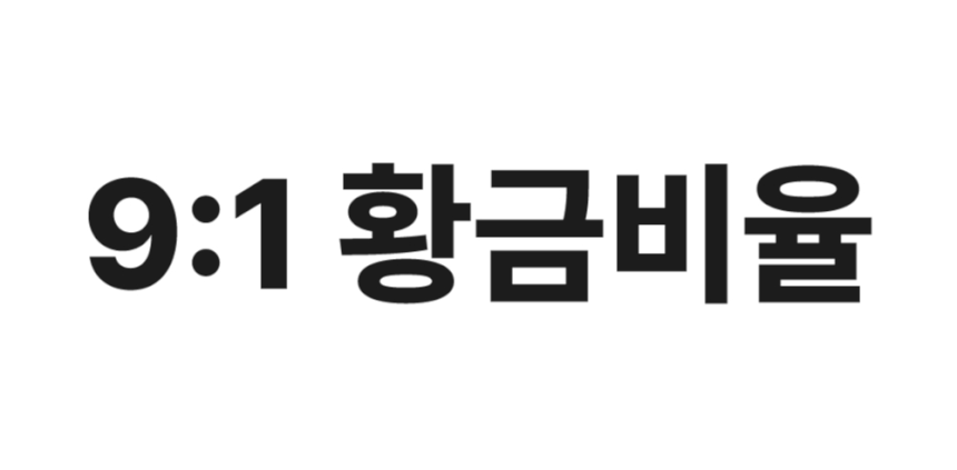 코지 수화물 화물용 대형 캐리어 66cm (24인치) - 상세 이미지 5
