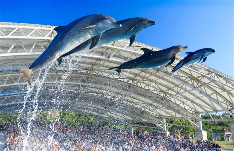 일본 오키나와 나하 오키나와 츄라우미 수족관 티켓 입장권 이미지 3