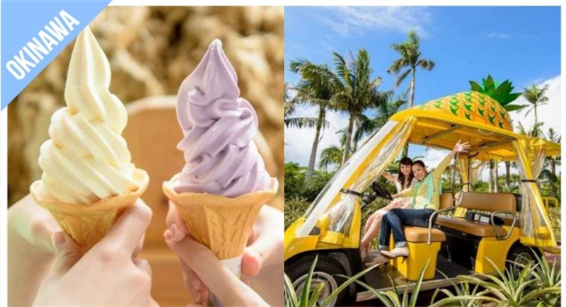 일본 오키나와 조이 패스 (1주일) 1 Week Free Pass - 상세 이미지 4