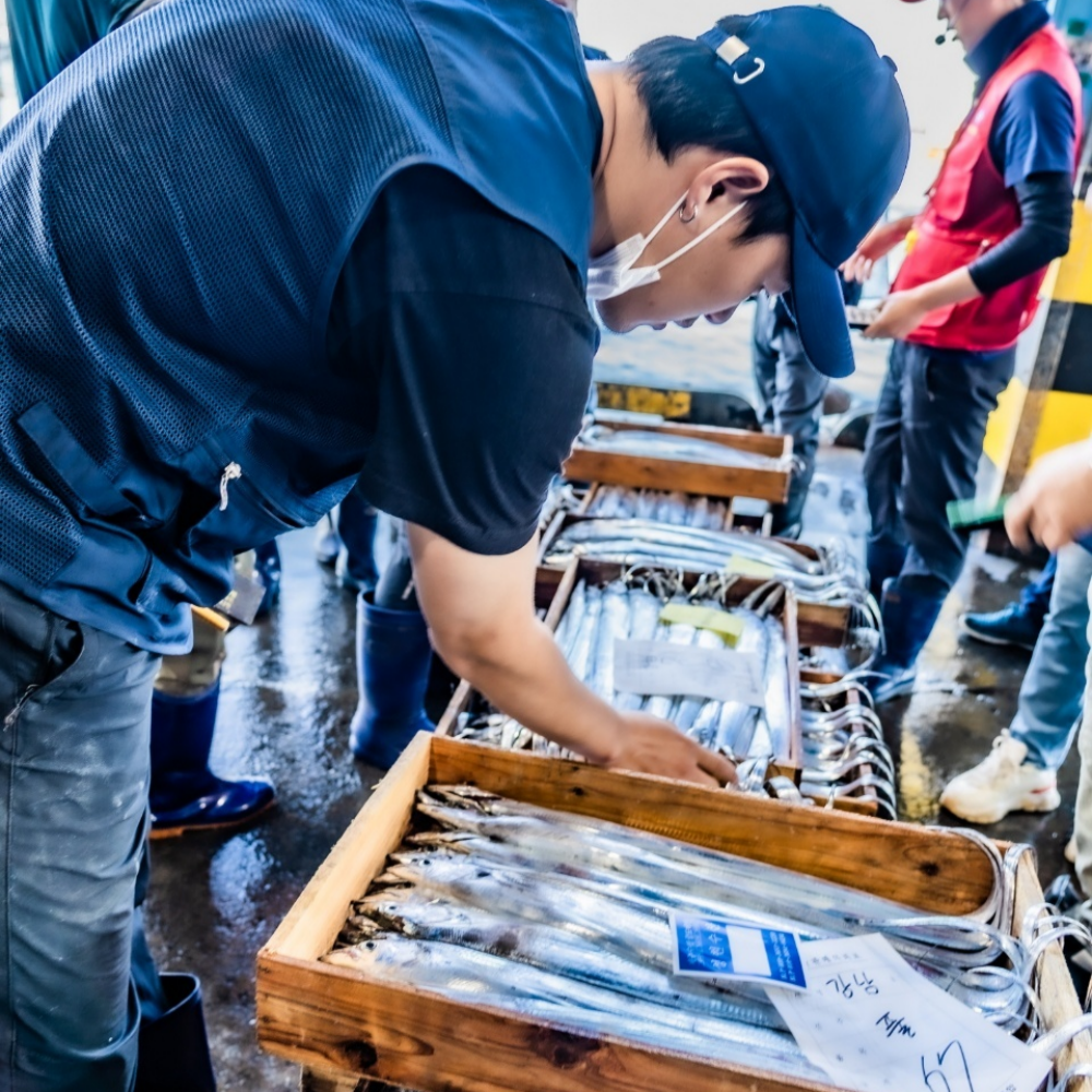 제주 갈옥고 제주도 손질 자반 간 고등어 특대 고등어살 2kg 선물세트 - 상세 이미지 4