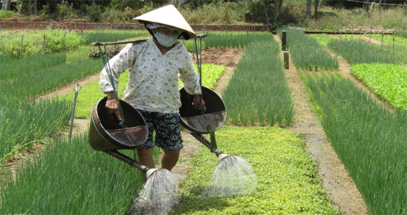 호이안 짜꿰 마을 & 탄하 도자기 마을 & 코코넛숲 프라이빗 투어 (아오자이 라이더) 이미지 2