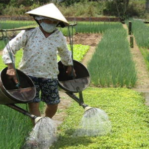호이안  짜꿰 마을 & 탄하 도자기 마을 & 코코넛숲 프라이빗 투어 (아... 솔직 후기 | 실사용자 리뷰 분석 - 상품 이미지 2
