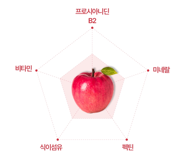 [3차완판 100세트 기획전] 아누카사과 비오틴 맥주효모 이누카사과 추출물 분말 60정 이미지 6