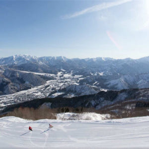 일본 니가타 유자와 고원 스키장  1 일권 ※ 구입일 당일 이용 불가 솔직 후기 | 실사용자 리뷰 분석 - 상품 이미지 4