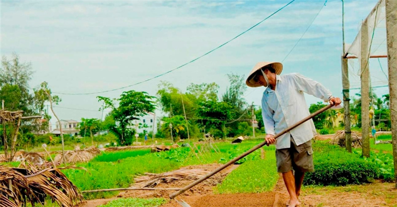 호이안  짜꿰 마을 자전거 투어 이미지 2