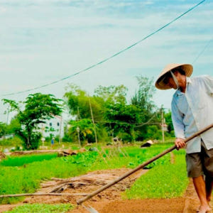 호이안  짜꿰 마을 자전거 투어 솔직 후기 | 실사용자 리뷰 분석 - 상품 이미지 2