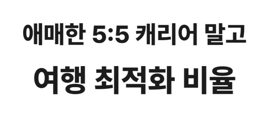 코지 수화물 화물용 대형 캐리어 66cm (24인치) - 상세 이미지 3
