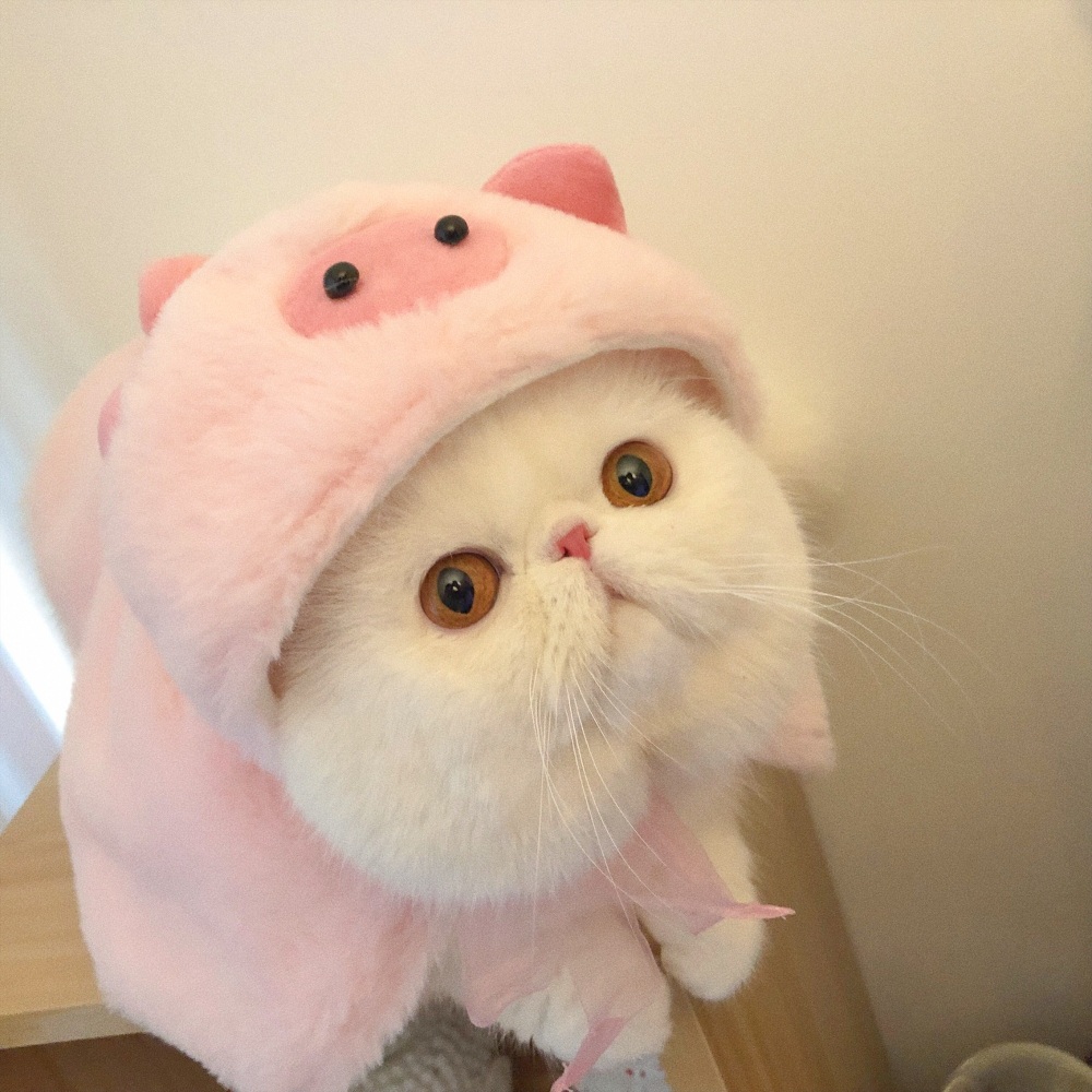 애완동물 고양이 망토 강아지 크리스마스 코스튬 겨울 털 옷 의류 - 상세 이미지 2
