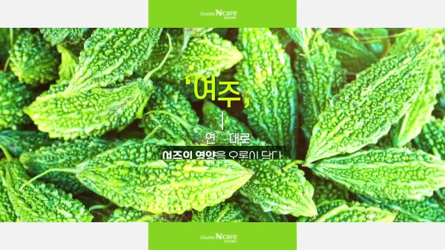 천호엔케어 100% 국산 당류 0% 퓨어 유기농 여주스틱 14포, 3개