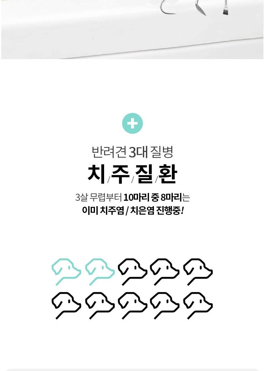 칫솔 펜 강아지 양치 펜 강아지 치석 제거 도구