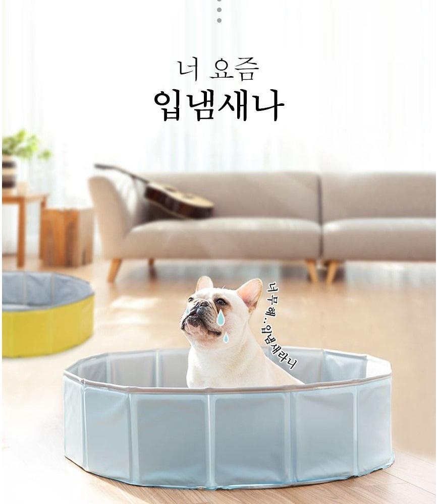 칫솔 펜 강아지 양치 펜 강아지 치석 제거 도구