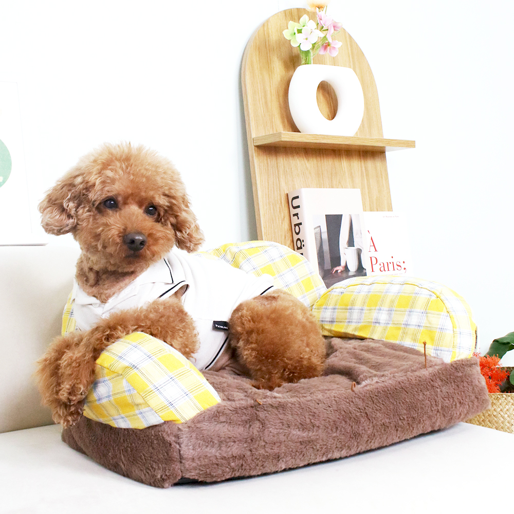 개과천선 세나 강아지 소파 침대 애견 극세사 다용도 쿠션 고양이 꿀잠 사계절 옐로 브라운 - 상세 이미지 3