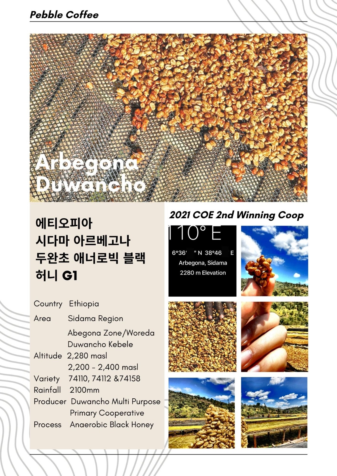 에티오피아 시다마 아르베고나 두완초 애너로빅 블랙 허니 G1 5KG (DUWANCHO ANAEROBIC BLACK HONEY G1)