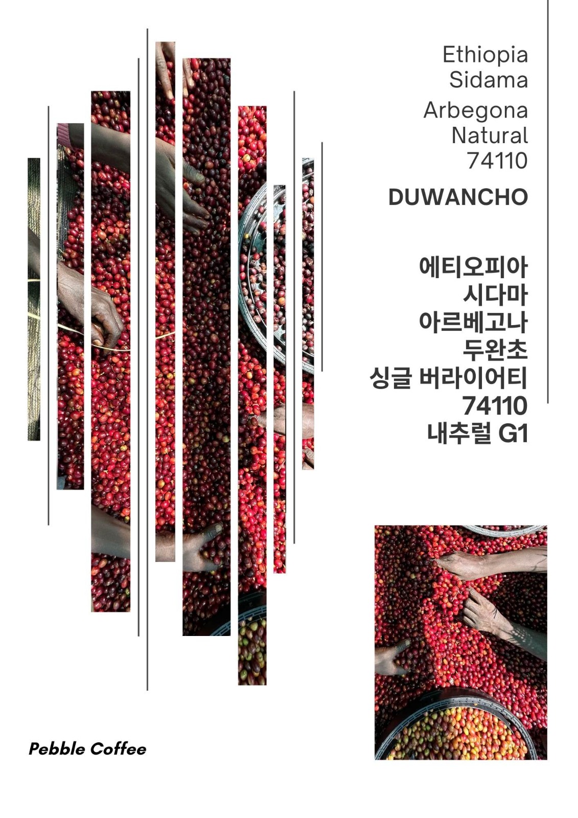 에티오피아 시다마 아르베고나 두완초 내추럴 G1 5KG (SIDAMA ARBEGONA DUWANCHO NATURAL G1)