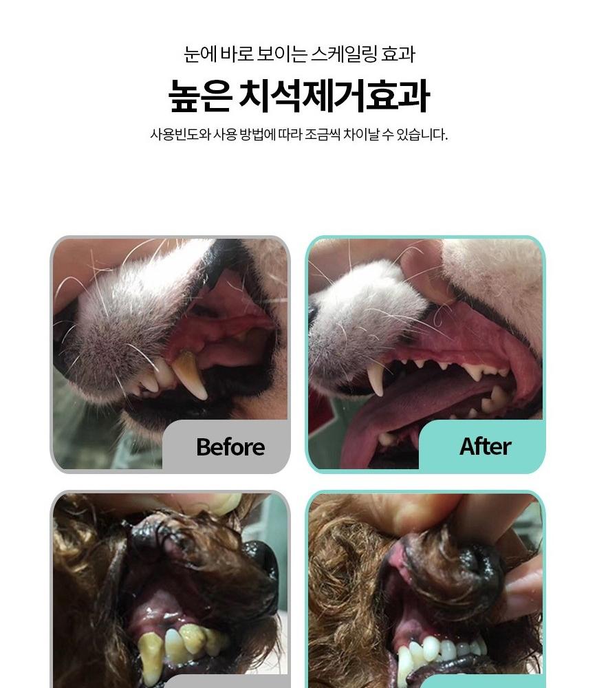 칫솔 펜 강아지 양치 펜 강아지 치석 제거 도구