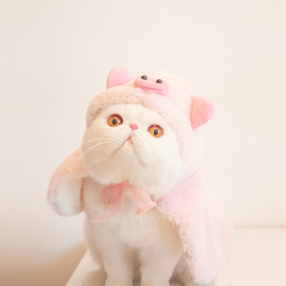 애완동물 고양이 망토 강아지 크리스마스 코스튬 겨울 털 옷 의류 - 상세 이미지 3