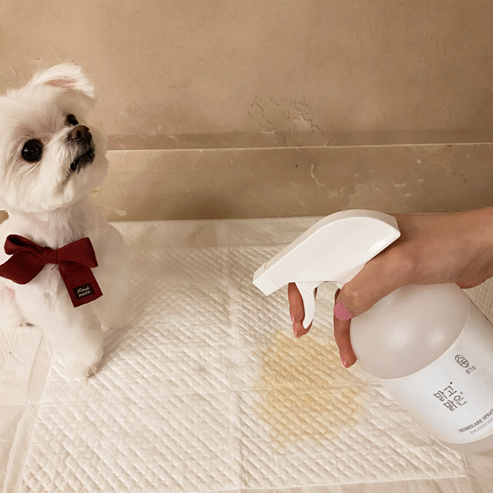 국내산 편백나무원액100% 편백수 피톤치드 스프레이 새집증후군제거방법 새가구 가죽 페인트 집먼지 이불 탈취 새차 탄 곰팡이 냄새제거 침대 셀프 원인 고급540ml