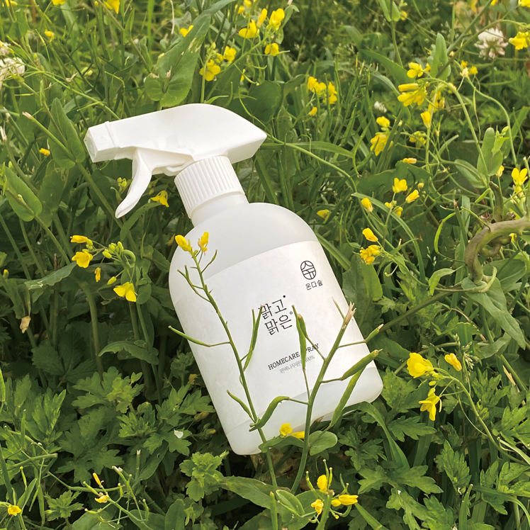 국내산 편백나무원액100% 편백수 피톤치드 스프레이 새집증후군제거방법 새가구 가죽 페인트 집먼지 이불 탈취 새차 탄 곰팡이 냄새제거 침대 셀프 원인 고급540ml