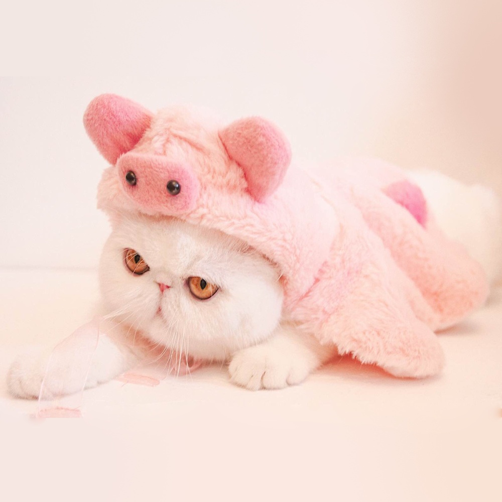 애완동물 고양이 망토 강아지 크리스마스 코스튬 겨울 털 옷 의류 - 상품 이미지