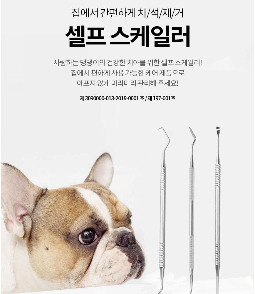칫솔 펜 강아지 양치 펜 강아지 치석 제거 도구