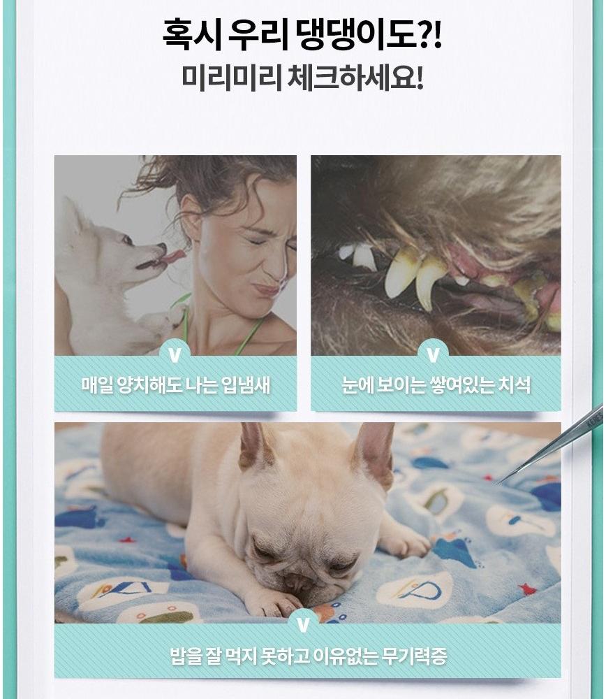 칫솔 펜 강아지 양치 펜 강아지 치석 제거 도구