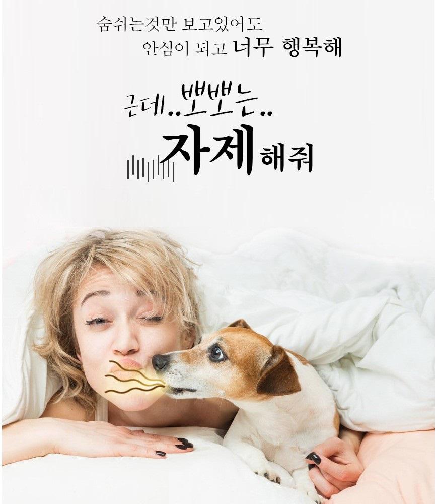 칫솔 펜 강아지 양치 펜 강아지 치석 제거 도구