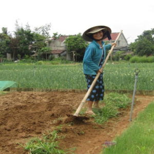 호이안  짜꿰 마을 & 탄하 도자기 마을 & 칸킴 마을 프라이빗 투어 (... 솔직 후기 | 실사용자 리뷰 분석 - 상품 이미지 4