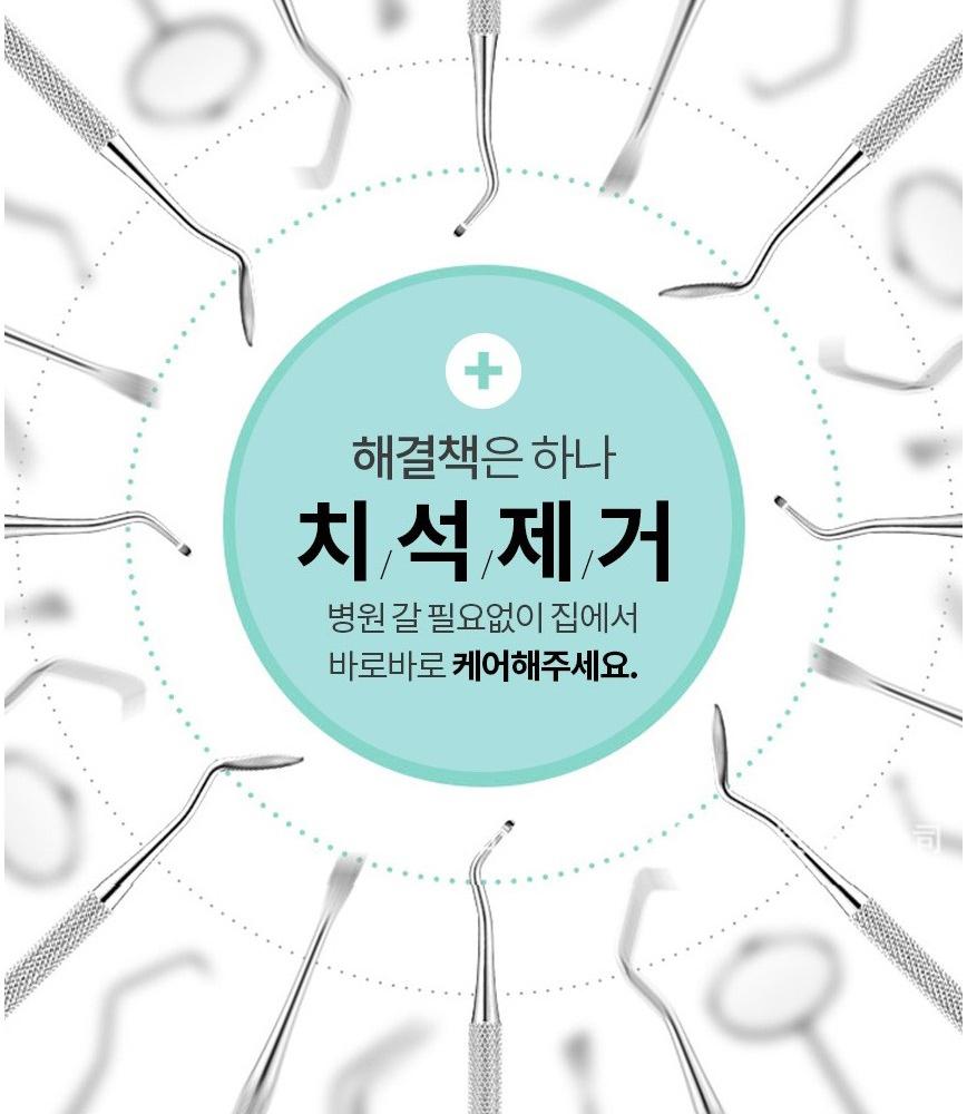 칫솔 펜 강아지 양치 펜 강아지 치석 제거 도구