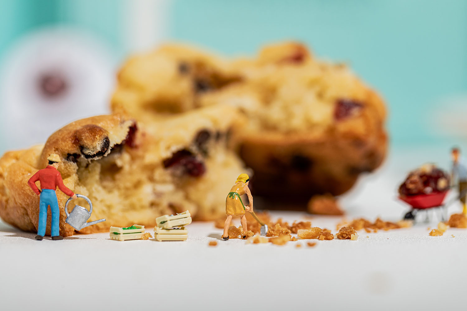 [쿠키득 수제쿠키] 르뱅 크리스마스 연말 새해 선물 생일 간식 졸업 답례 결혼