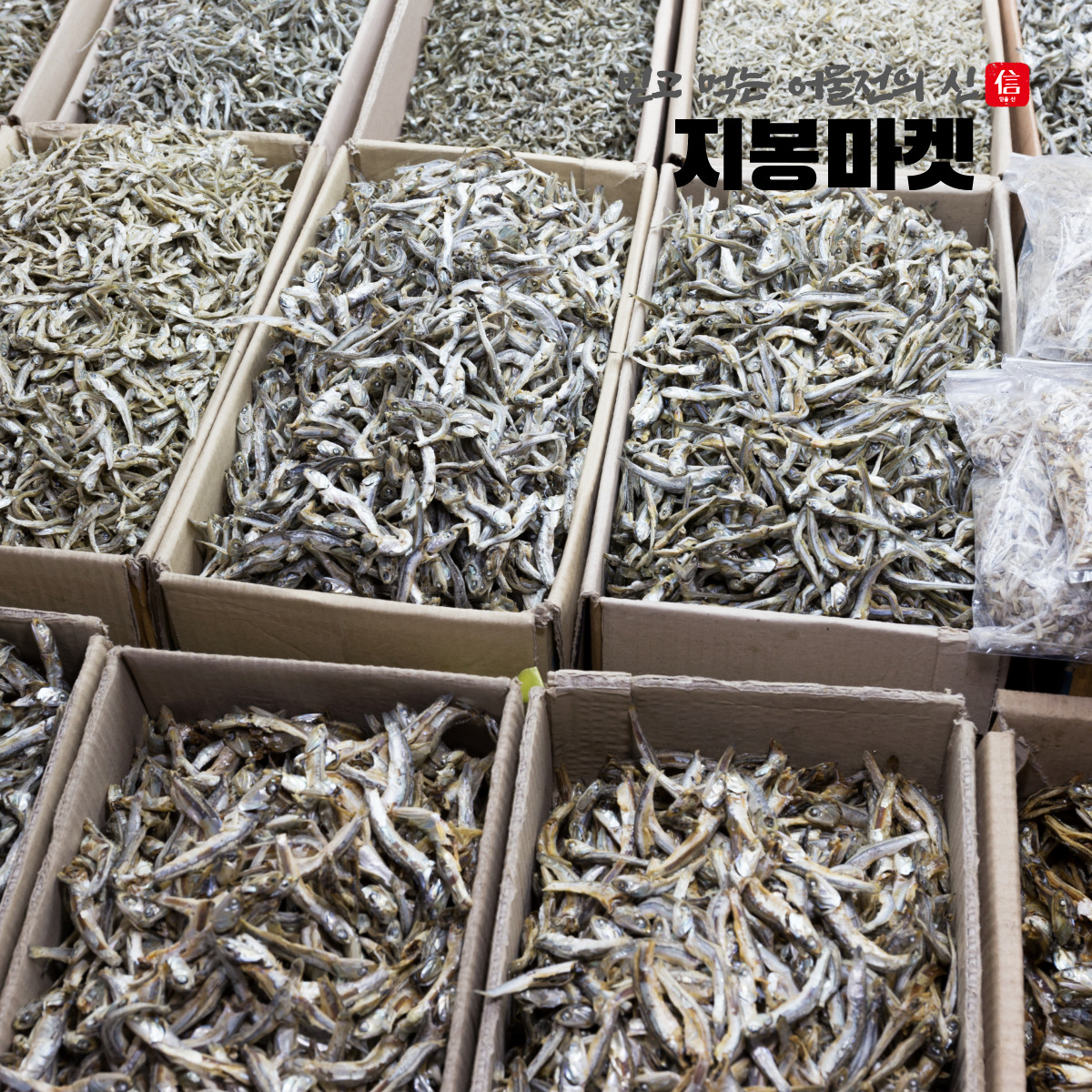 국내산 햇 고주바 고바멸치 중멸치 고추장 다시멸치 오사리 남해 1.5kg, 1개 - 상세 이미지 2