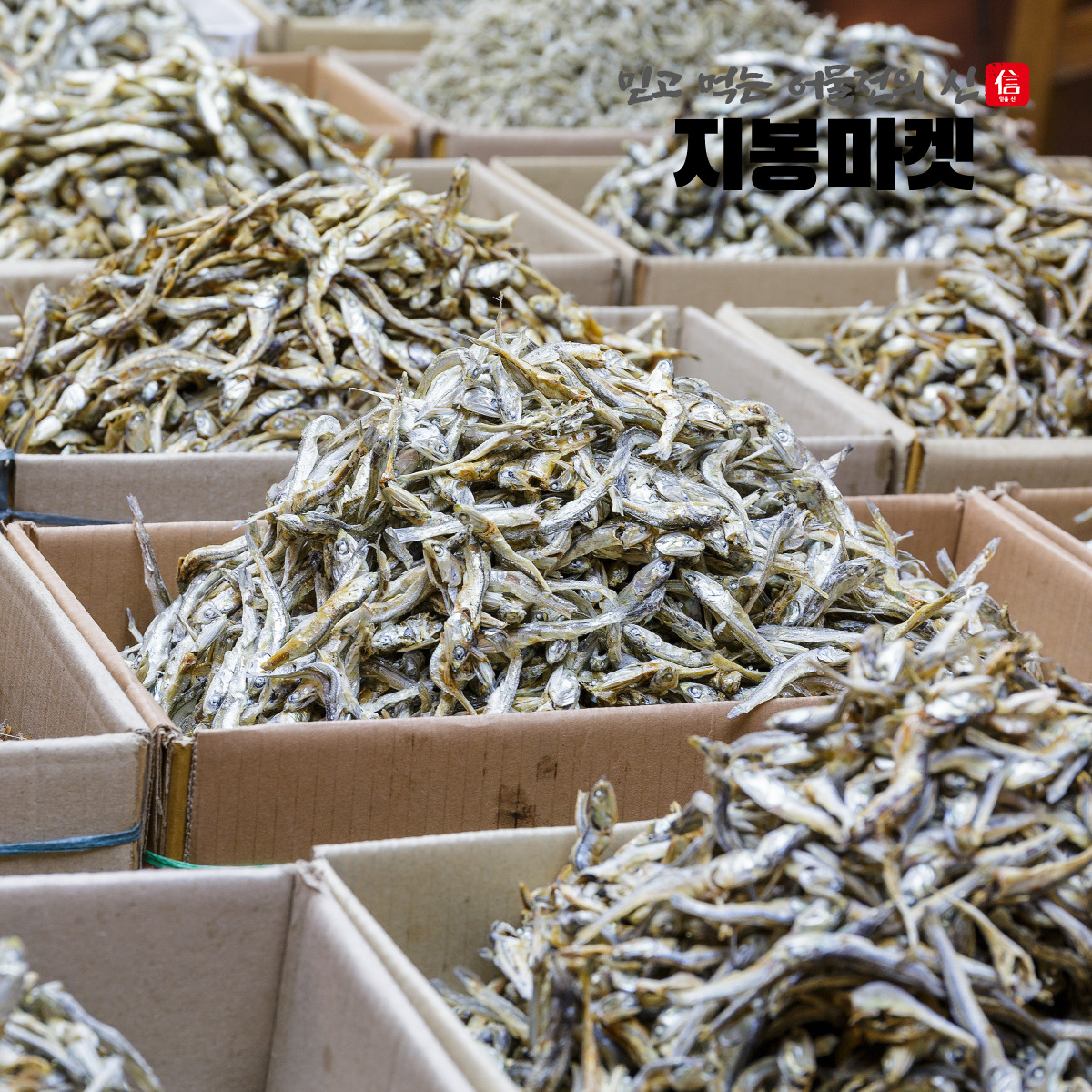 국내산 햇 고주바 고바멸치 중멸치 고추장 다시멸치 오사리 남해 1.5kg, 1개 - 상세 이미지 3