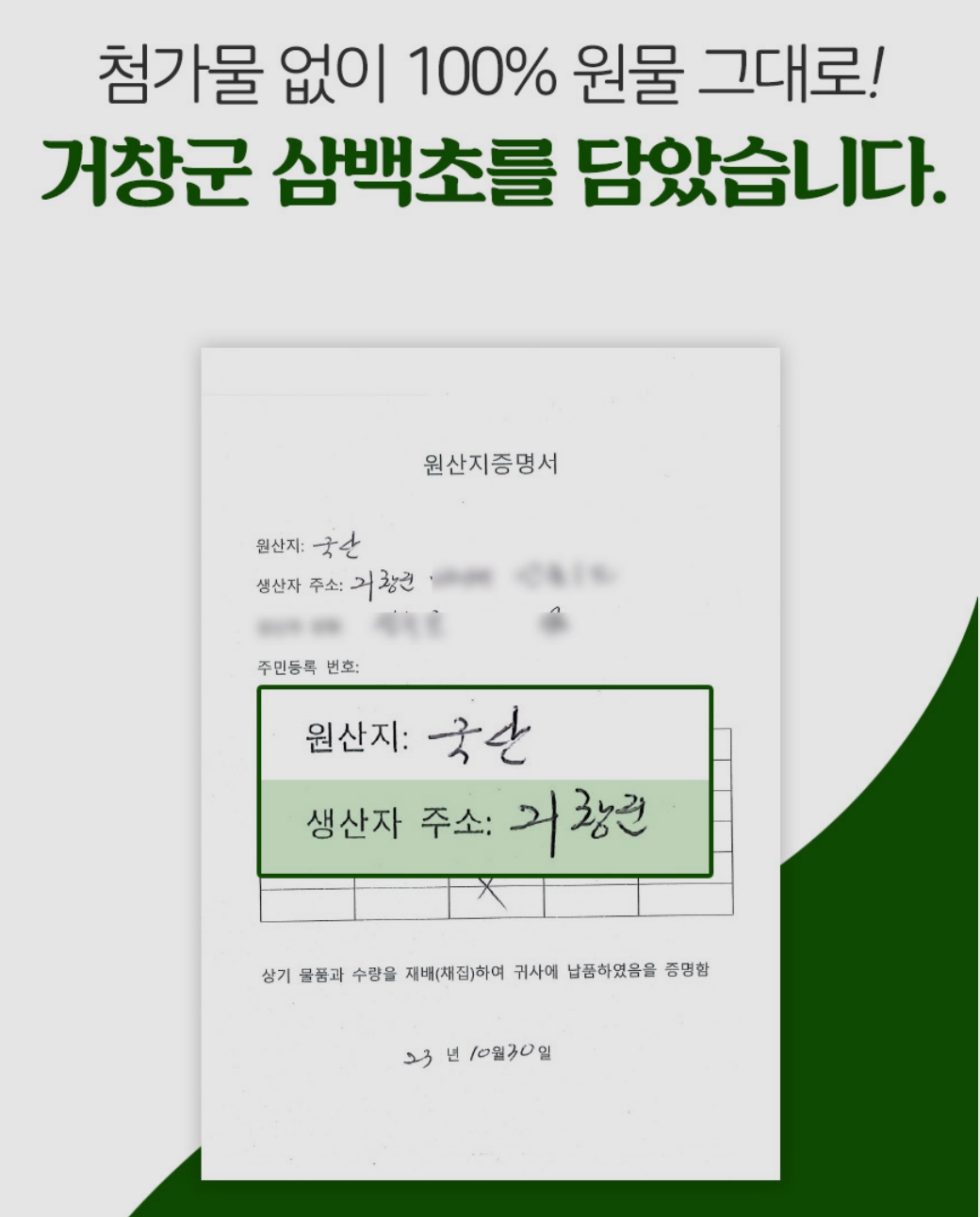 삼백초차 티백 삼백초 효능 전통차 물대신차 건강 - 상세 이미지 4