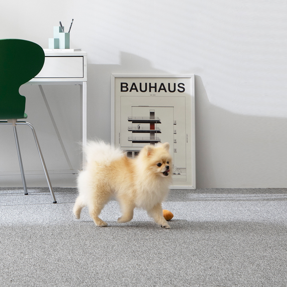 세븐펫 강아지 도톰매트 그란데 미끄럼방지 강아지매트 60x60cm