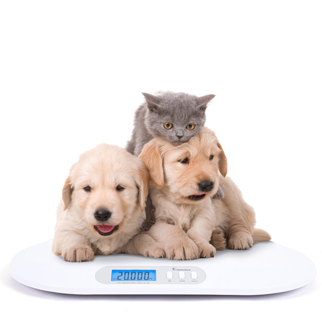 아이워너 KS-BM520 아기 유아 반려동물 디지털 체중계