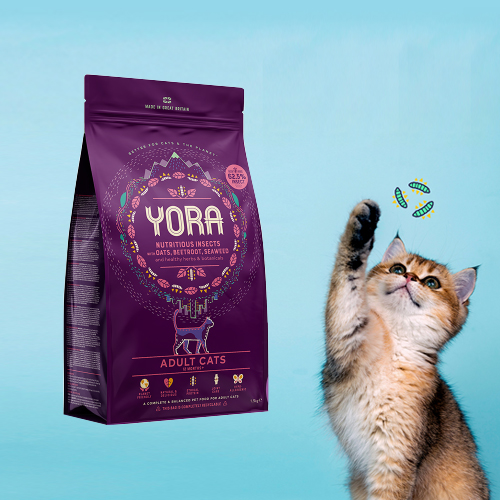 YORA 요라 캣 동애등에 알러지 케어 사료 1.5kg - 메인 이미지