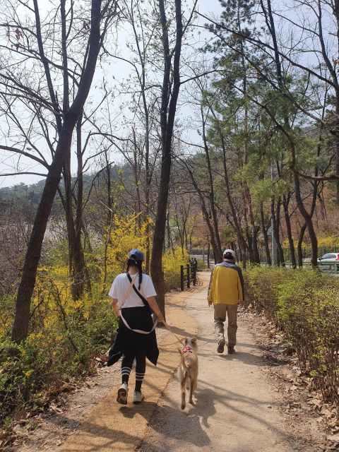 김밥 만들기 체험과 서촌마을 워킹 투어 이미지 2