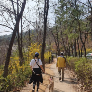 김밥 만들기 체험과 서촌마을 워킹 투어 솔직 후기 | 실사용자 리뷰 분석 - 상품 이미지 2