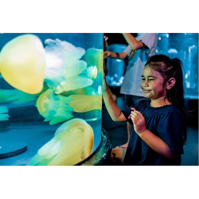 호주 시드니 얼티밋 패스 이미지 3