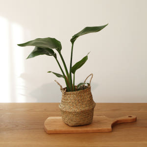 코드86 라탄 화분 커버 화분 가리개 대형 실사용 후기 | 효과 있을까? - 상품 이미지 1