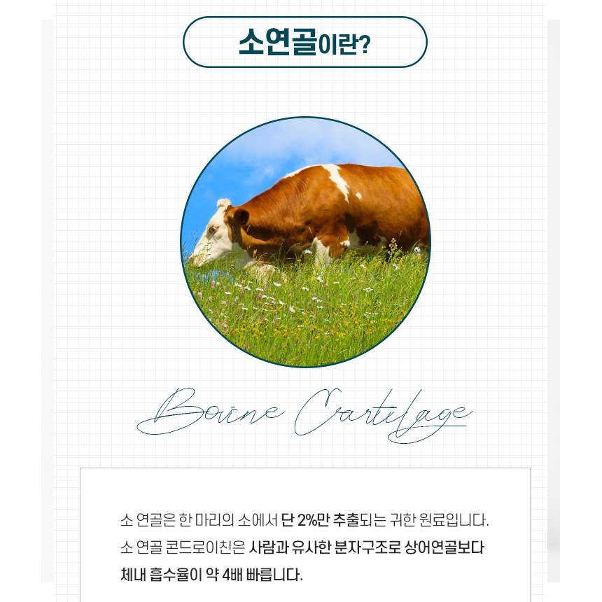 소연골 콘드로이친 1200 황산 소유래 추출물 정 - 상세 이미지 5