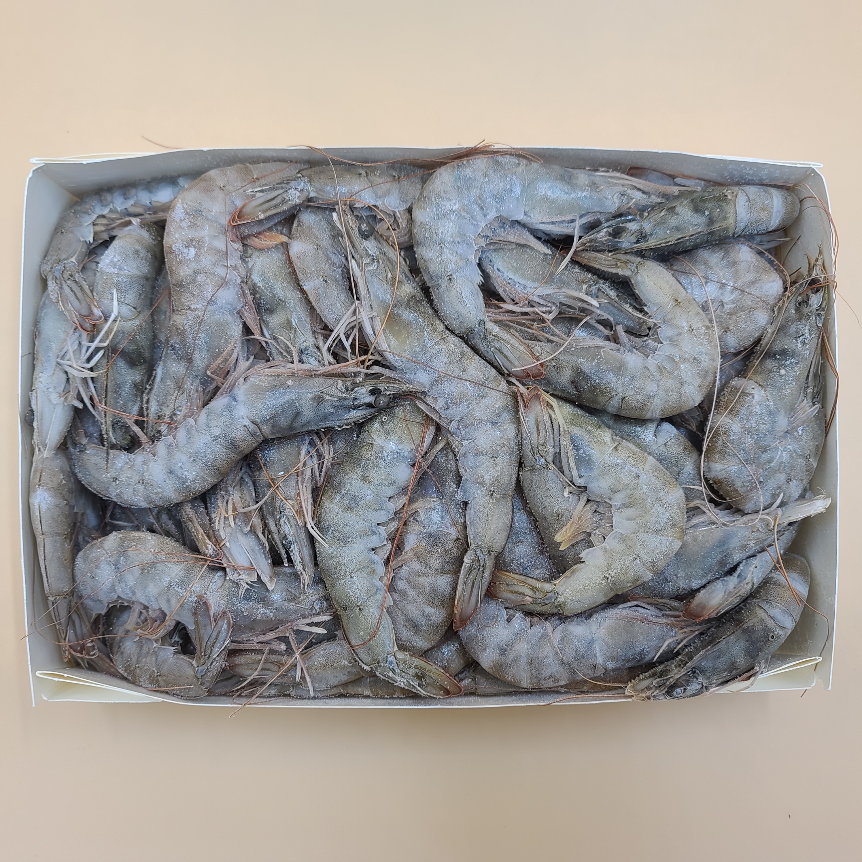 페루새우 2kg 냉동 흰다리새우 에콰도르새우 급냉 대하구이 통새우 생새우