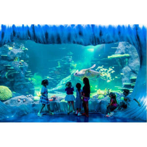 호주 시드니 씨라이프(SeaLife) 입장권 솔직 후기 | 실사용자 리뷰 분석 - 상품 이미지 2