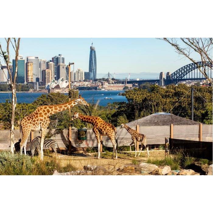 호주 시드니 타롱가 동물원 이미지 2