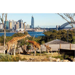 호주 시드니 타롱가 동물원 솔직 후기 | 실사용자 리뷰 분석 - 상품 이미지 2