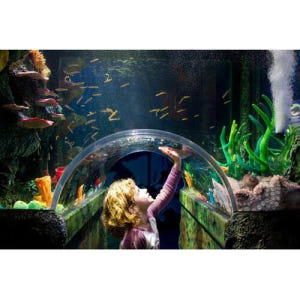 호주 시드니 씨라이프(SeaLife) 입장권 솔직 후기 | 실사용자 리뷰 분석 - 상품 이미지 1