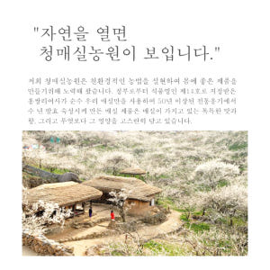 유기산 청매실 원액 1000ml 올리고당 구연산 함유 맛있게 먹은 솔직 후기 - 상품 이미지 4